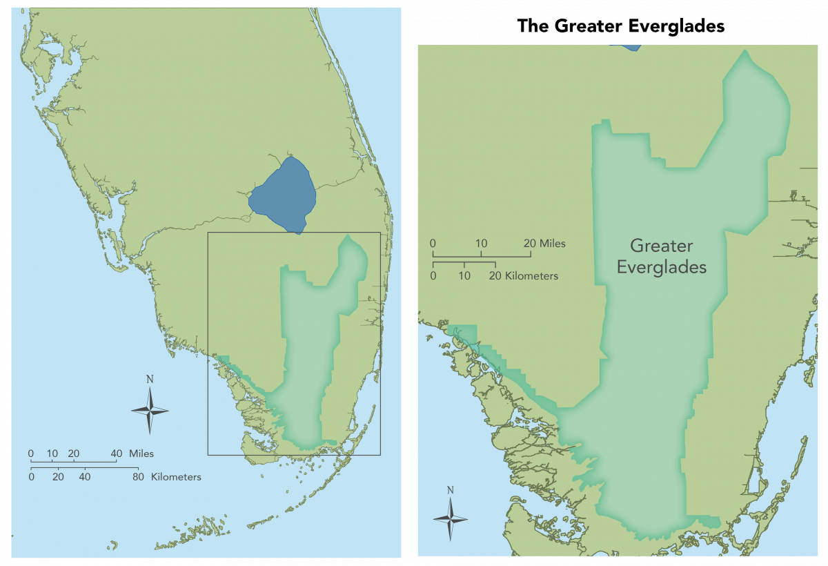  Map showing long view and detail view of the Greater Everglades. 